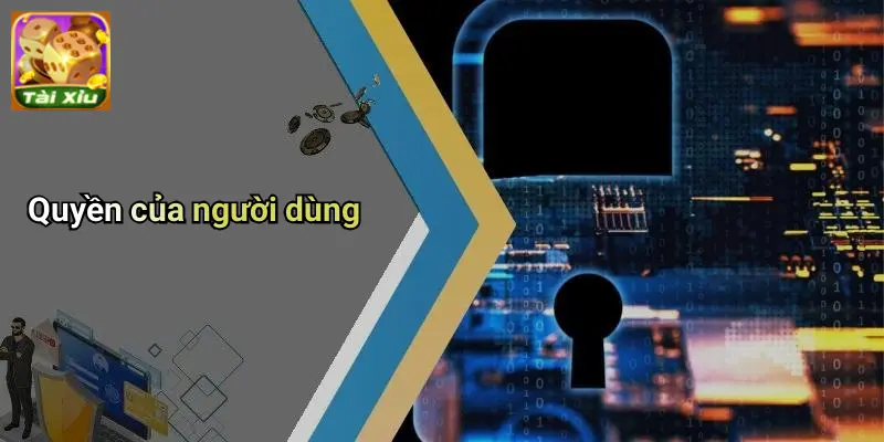 Chính Sách Bảo Mật: Bảo Vệ Dữ Liệu Game Thủ Tài Xỉu 4 Chính sách bảo mật