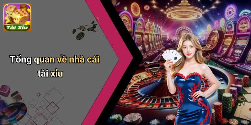 Nhà cái tài xỉu