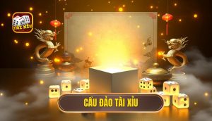 cầu đảo tài xỉu