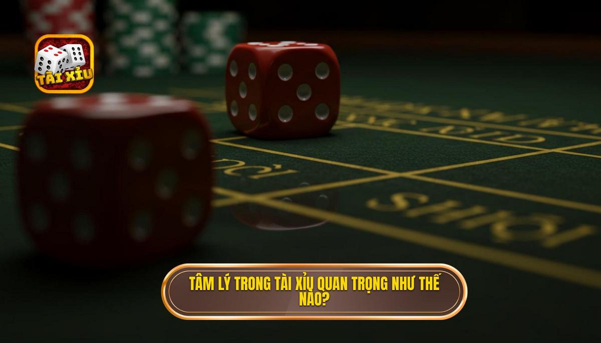 Nền Tảng Tâm Lý Trong Tài Xỉu_ Tại Sao Cảm Xúc Lại Quan Trọng_