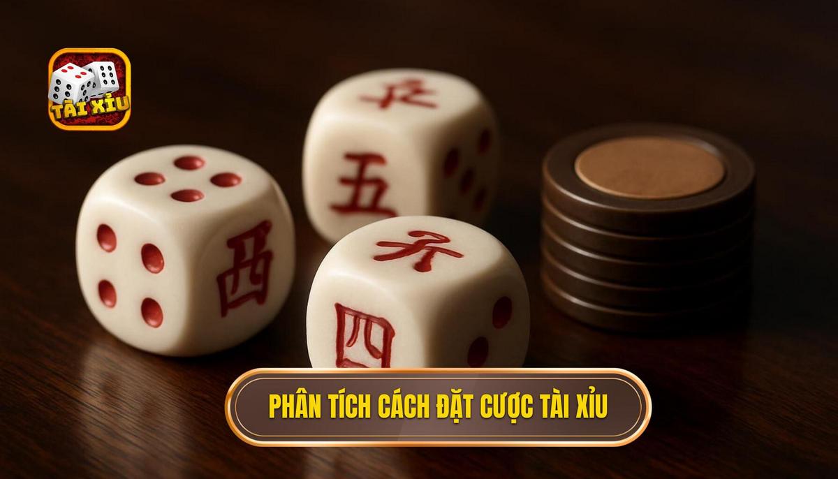 Phần 2_ Phân Tích Chi Tiết Cách Đặt Cược Trong Tài Xỉu
