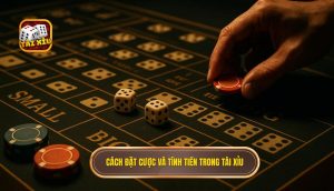 cách đặt cược và tính tiền trong tài xỉu