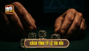 cách tính tỷ lệ tài xỉu