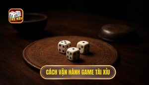cách vận hành game tài xỉu